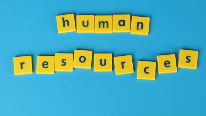Personeelsdiensten die werkgevers helpen bij HR-zaken